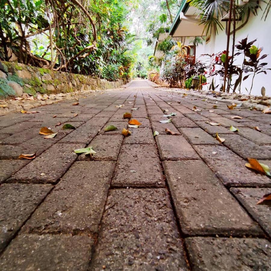 Seethawaka Regency Avissawella Ngoại thất bức ảnh
